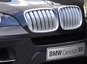 BMW X6 — 36